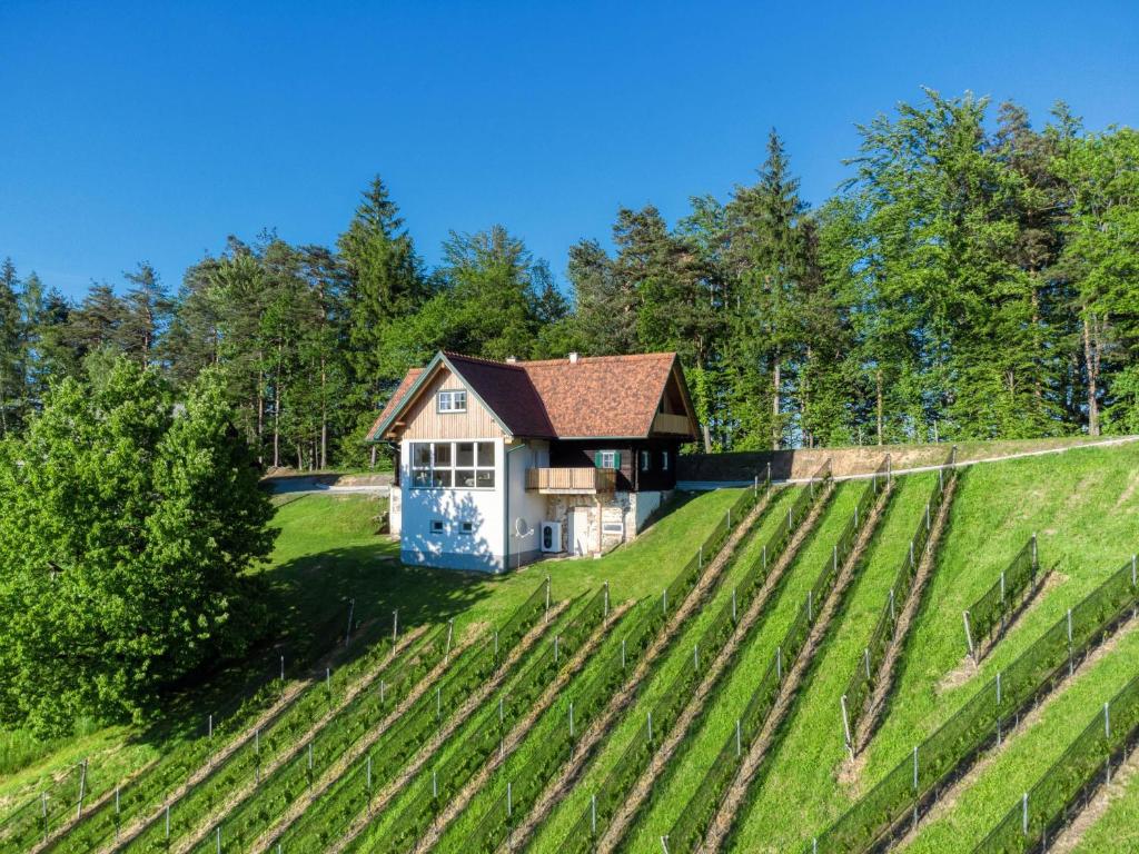 a house on a hill with a field of hay at Ferienhaus Wagnerfranzl in Eibiswald