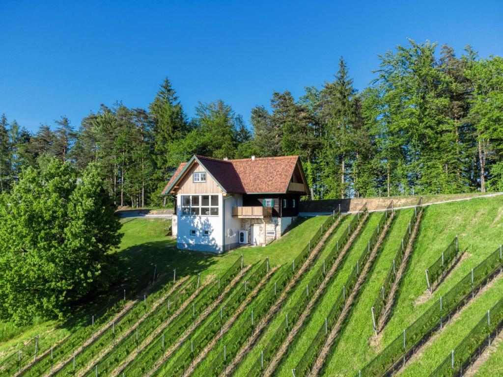 Zahrada ubytování Ferienhaus Wagnerfranzl
