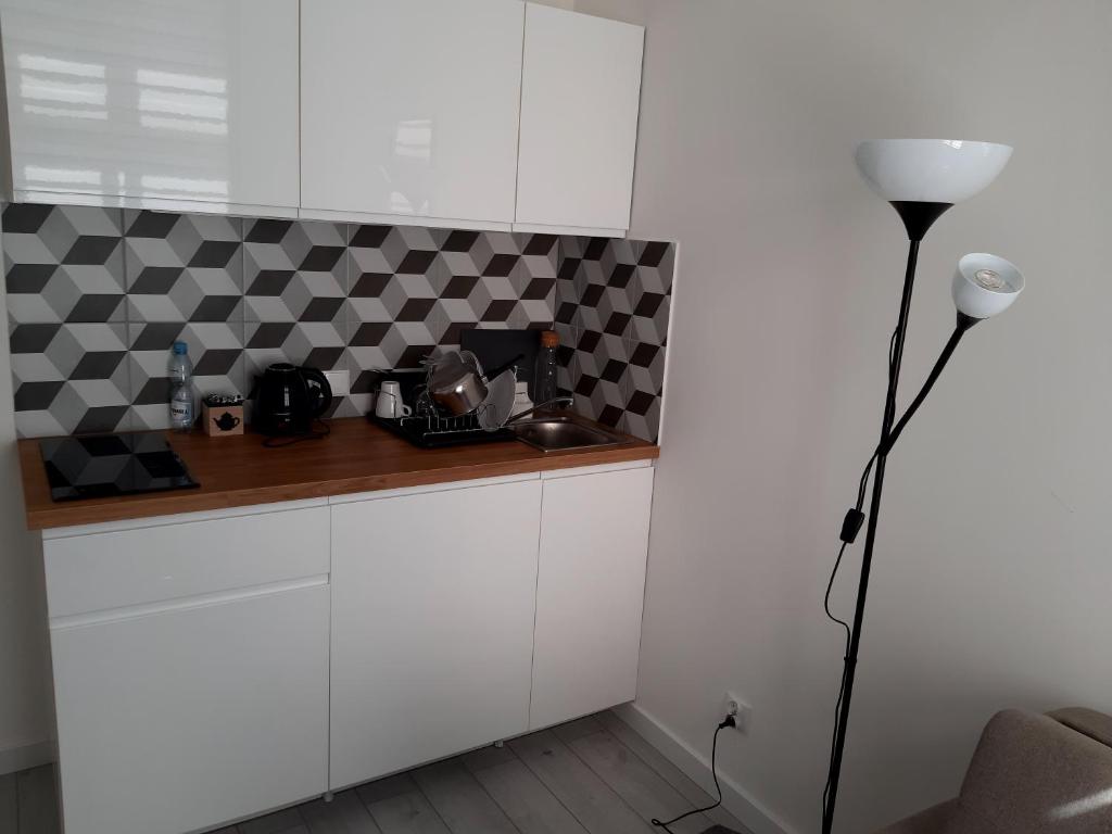 Kuchyňa alebo kuchynka v ubytovaní Apartamenty Katowice Stawowa 5