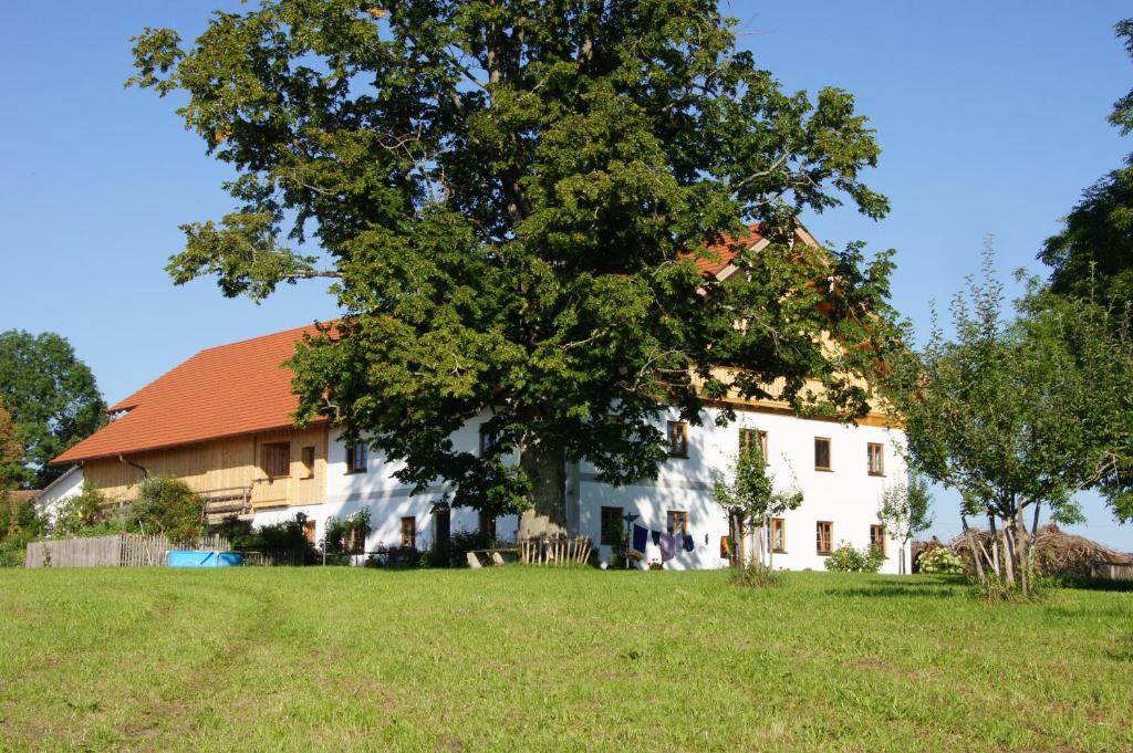 uma grande árvore em frente a uma casa branca em Ferien beim Baur em Bayersoien