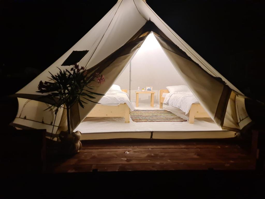 Camping Lebada Glamping Tg Jiu (România Târgu Jiu) - Booking.com