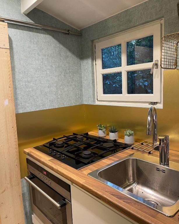 Kuchyň nebo kuchyňský kout v ubytování Tiny House de Eikhof