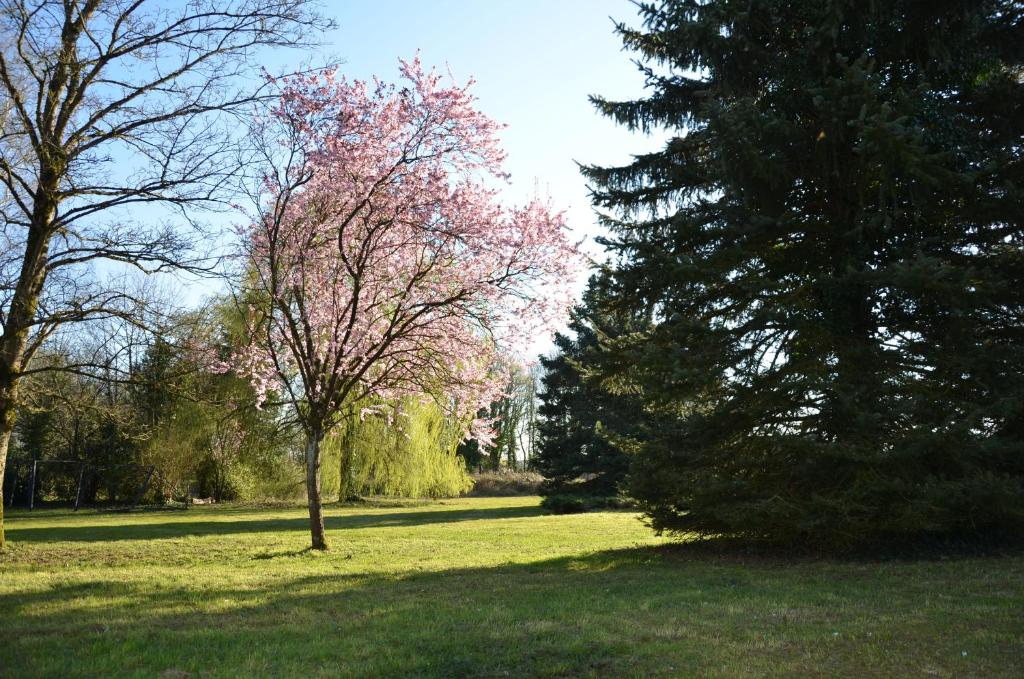 Zahrada ubytování Hôtel la Régie