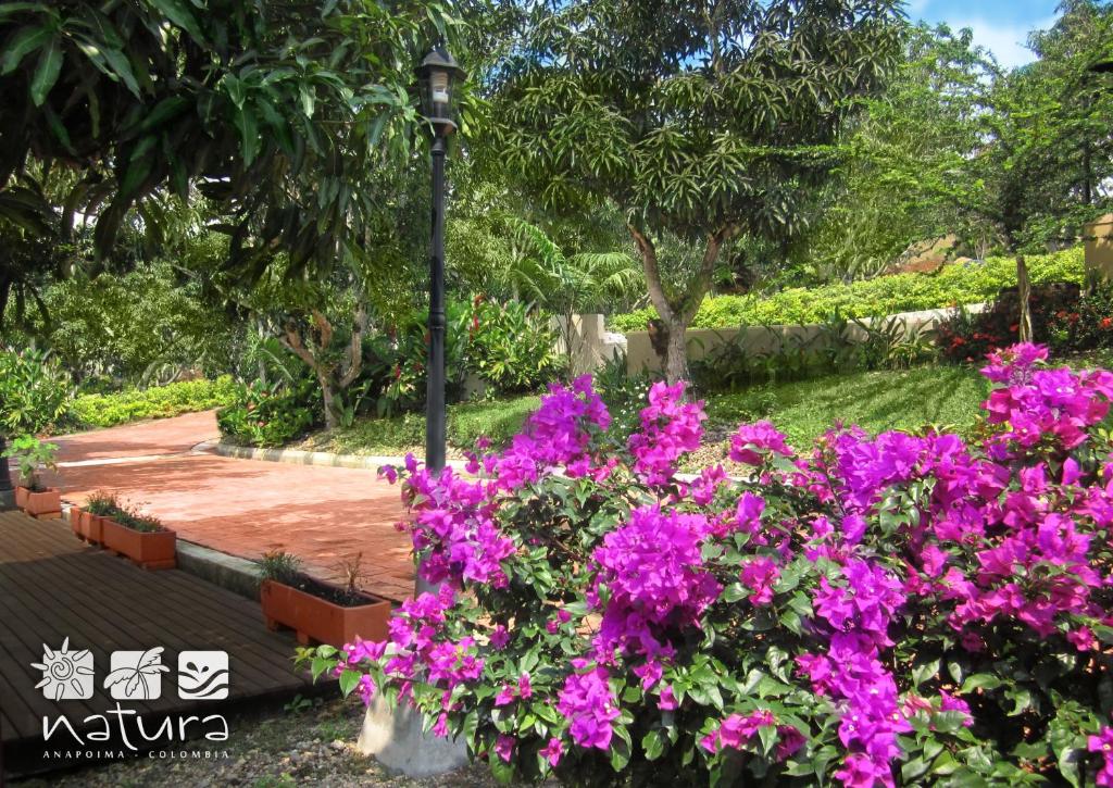 Zahrada ubytování Natura Reservado - Hoteles Natura
