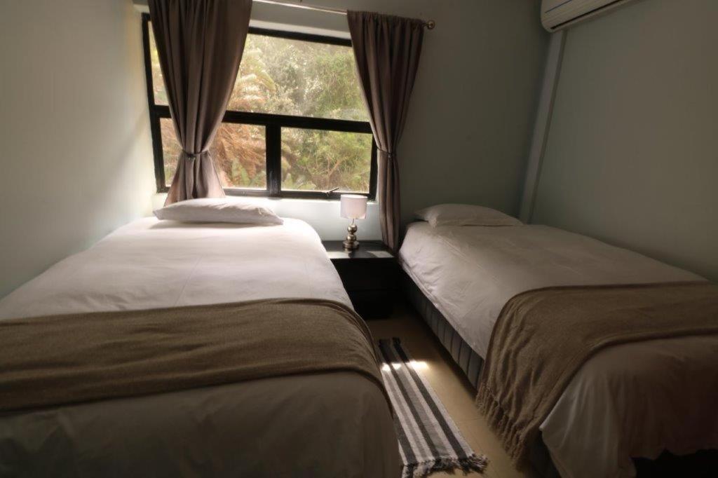 Letto o letti in una camera di Lazy Lizard 41 - with Inverter