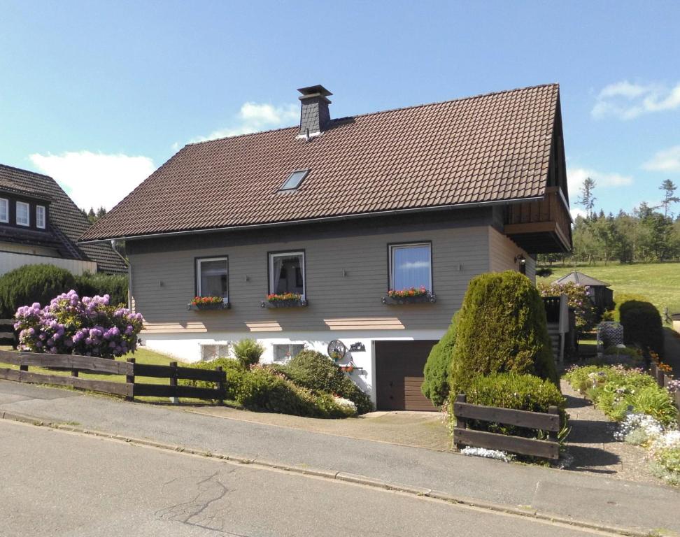 a house with a brown roof at Ferienwohnung Windten in Braunlage