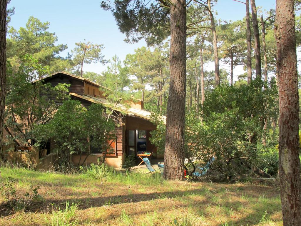 a cabin in the woods with a tree at Holiday Home Les maisons de la forêt by Interhome in Lacanau-Océan