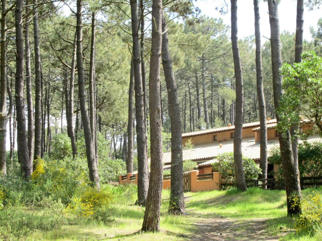a house in the middle of a forest at Holiday Home Les maisons de la forêt by Interhome in Lacanau-Océan