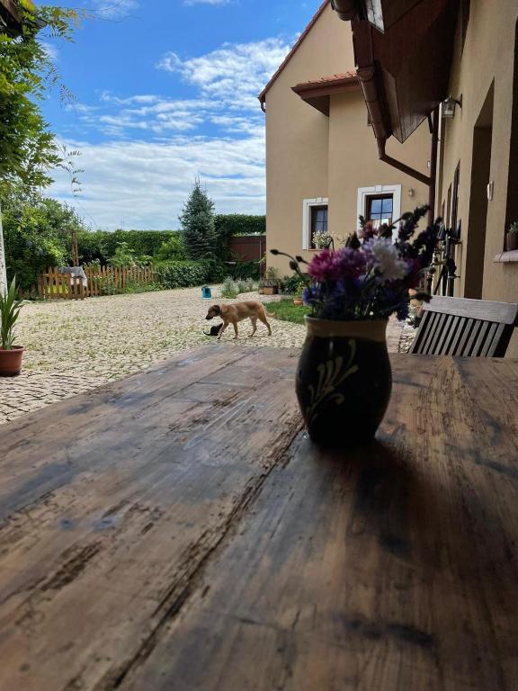 Zdjęcie z galerii obiektu Statek Keblice w mieście Keblice