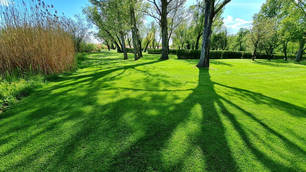 Vonkajšia záhrada v ubytovaní SZÉP BALATON
