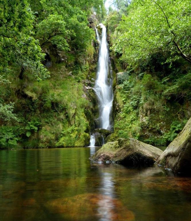 Areal, Viveiro – Precios actualizados 2022