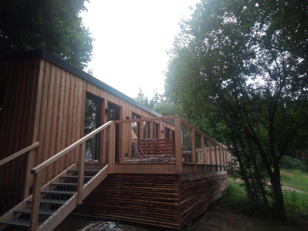 eine Holzhütte mit einer Treppe, die hinauf führt in der Unterkunft Tiny House FAMILY Ruheoase in Zwettl Stadt