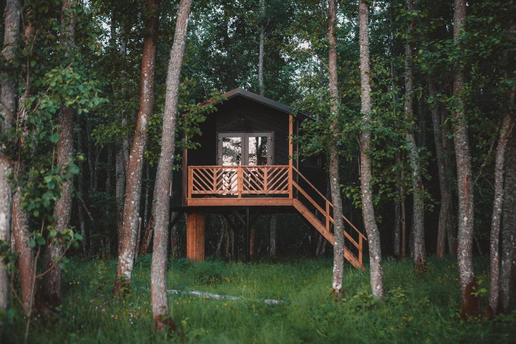 a tree house in the middle of the forest at Hekso treehouse 