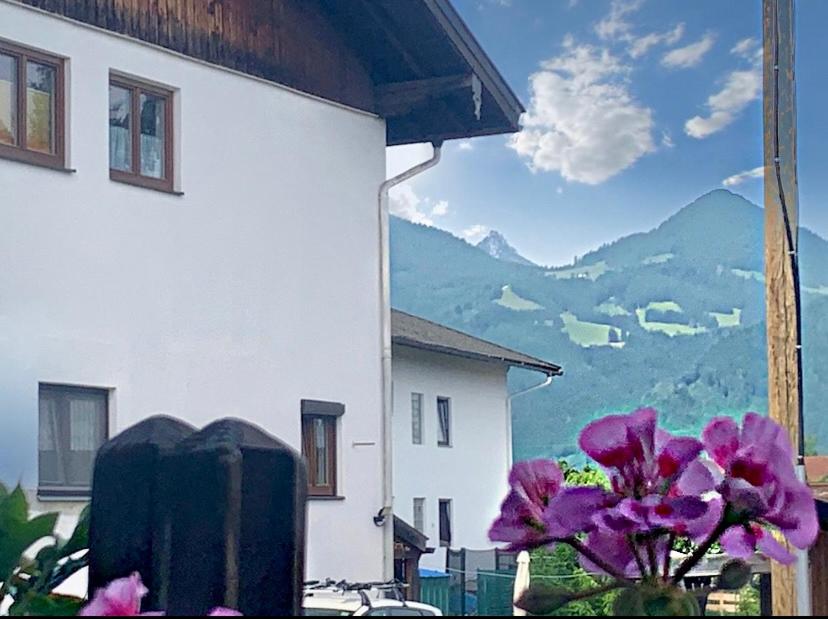 a purple flower in front of a building with mountains at alpenkind in Staudach-Egerndach