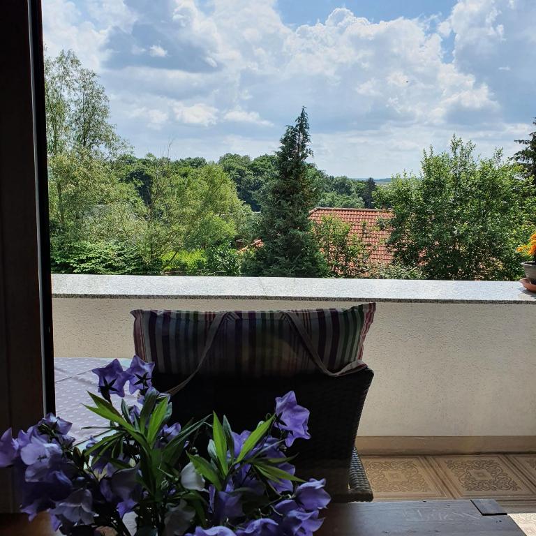 Balkón nebo terasa v ubytování Schau ins Land