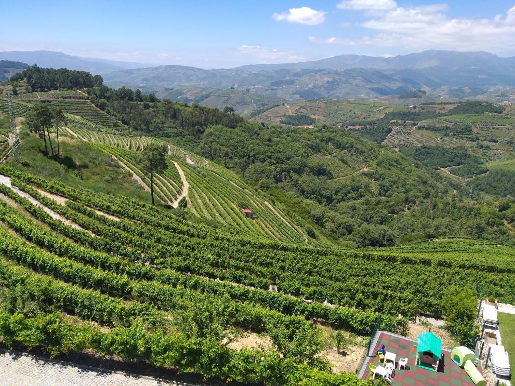 Quinta da Corujeira - 12