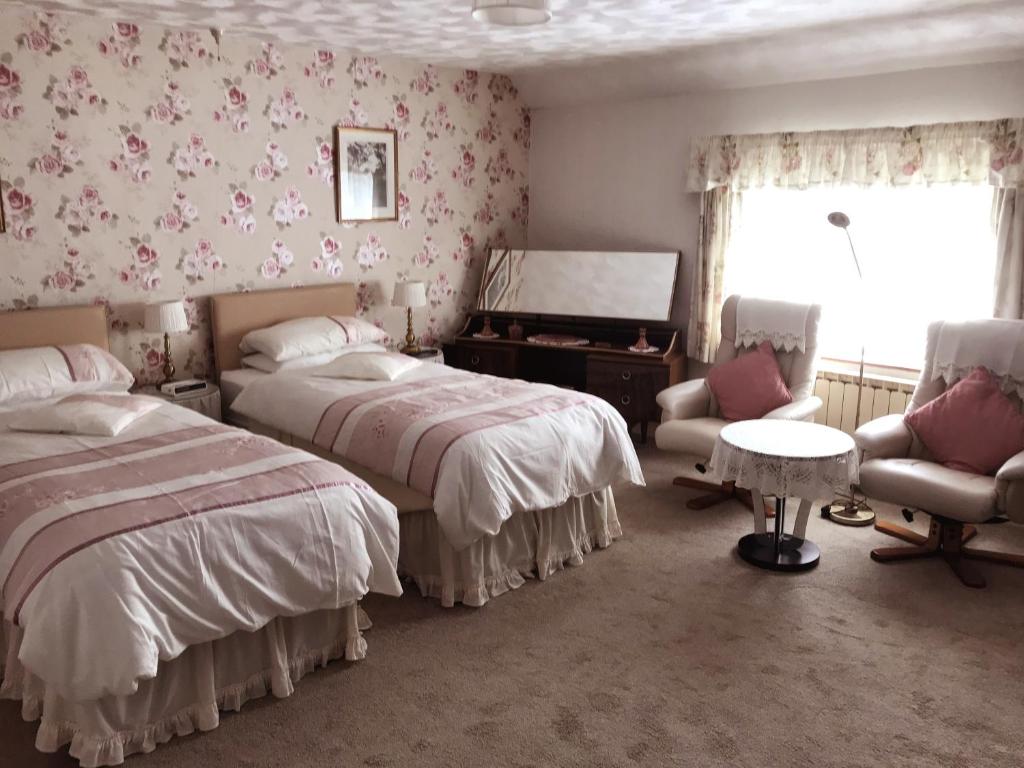 a bedroom with two beds and a chair and a mirror at Erw-Lon Farm in Pontfaen