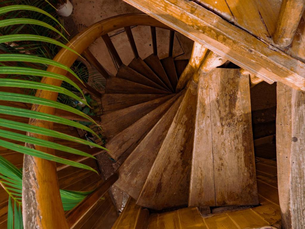 Fotografie z fotogalerie ubytování Hostal Poseidon v destinaci Puerto Cayo