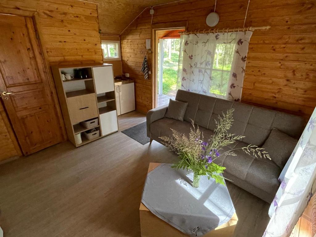 ein Wohnzimmer mit einem Sofa und einem Tisch in der Unterkunft Metskonna Forest House in Nõva