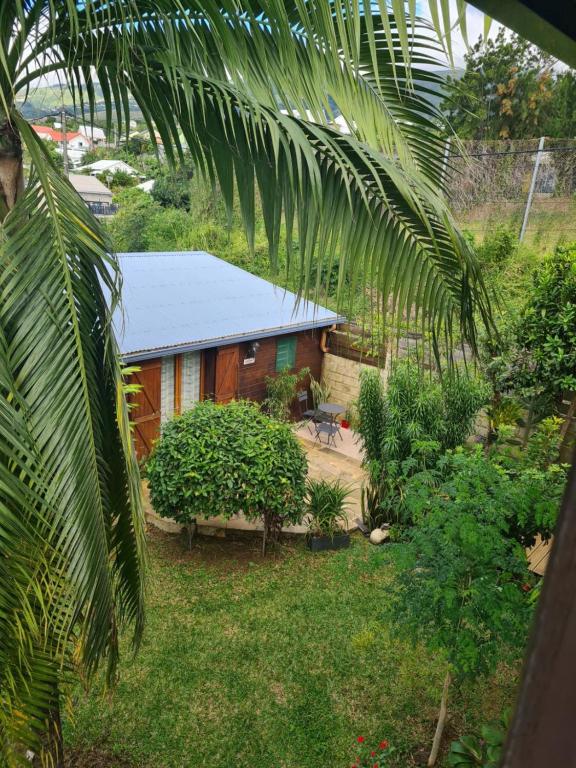 una pequeña casa en un jardín con una palmera en KAZBONZAMIS en Sainte-Clotilde