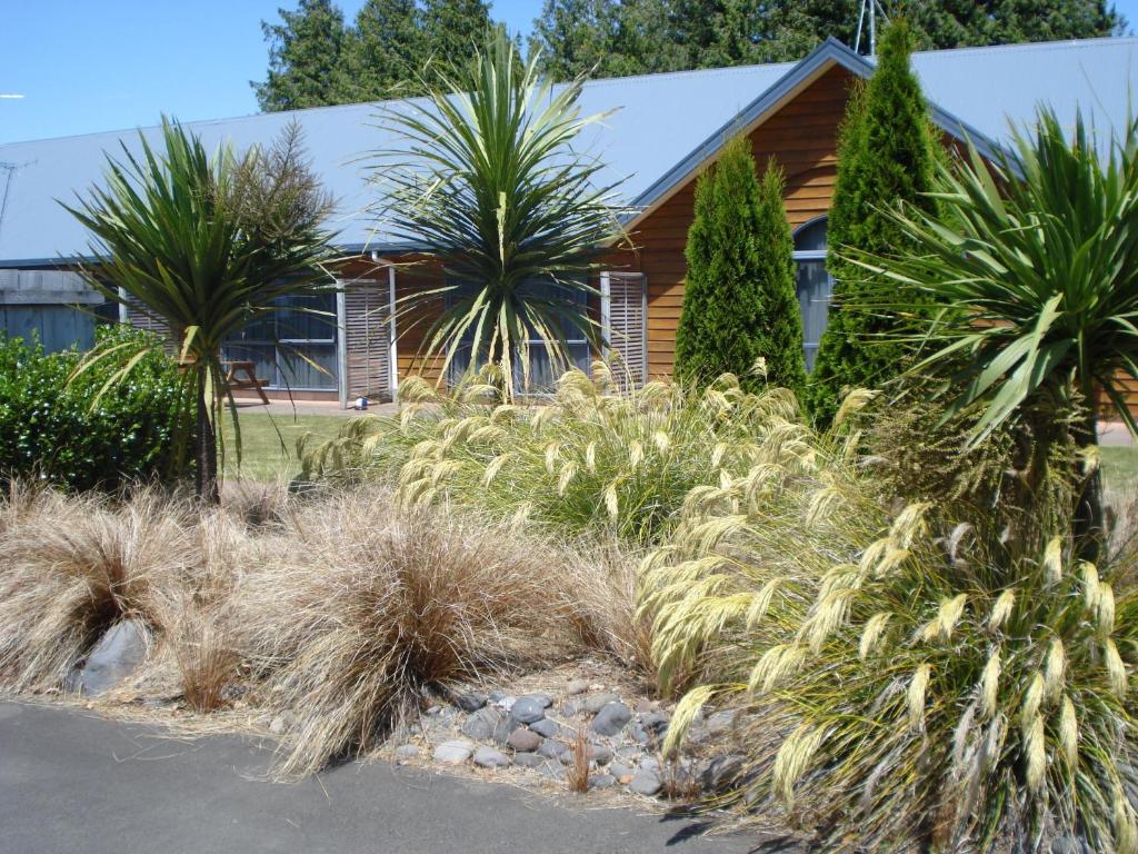 The Peaks Motor Inn - Resim 23