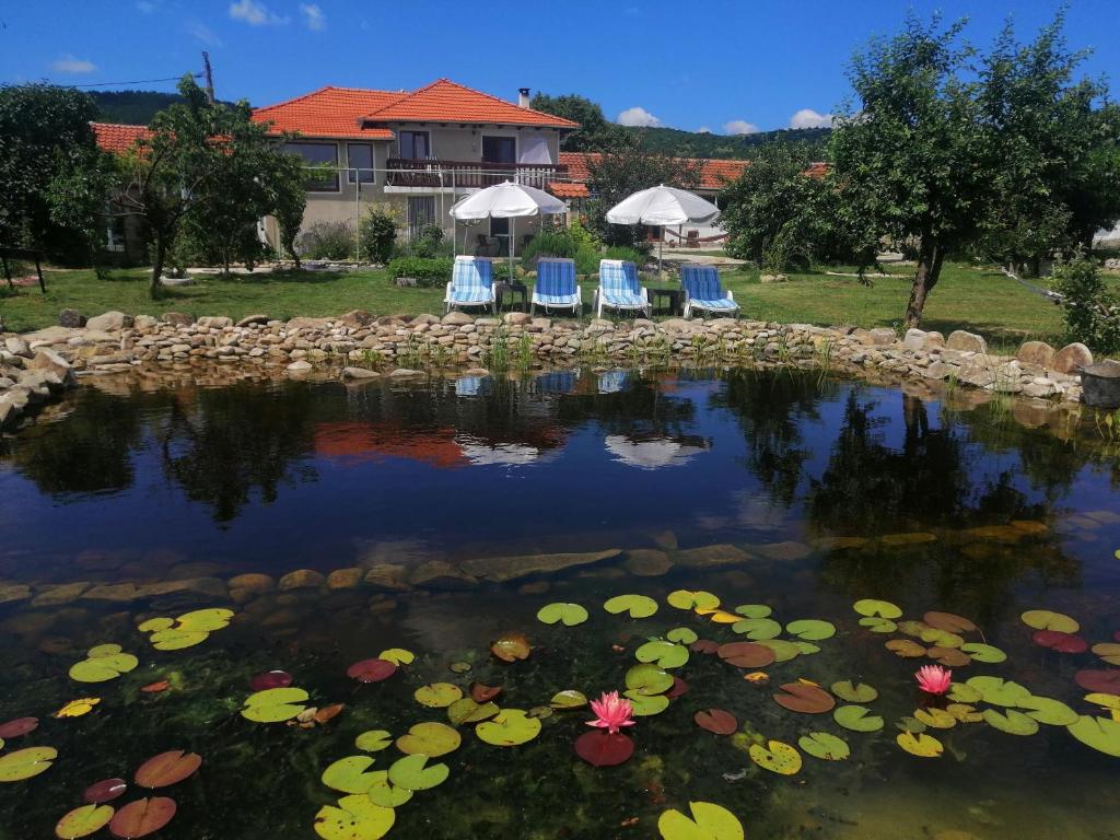um lago com cadeiras e lírios em frente a uma casa em Calla Retreat em Vezenkovo
