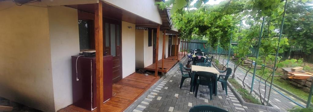 Zahrada ubytování Casa Mihai