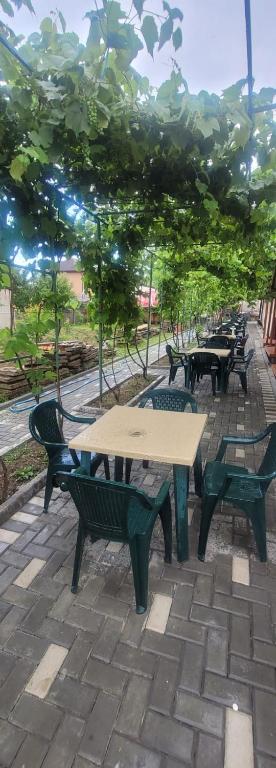Zahrada ubytování Casa Mihai