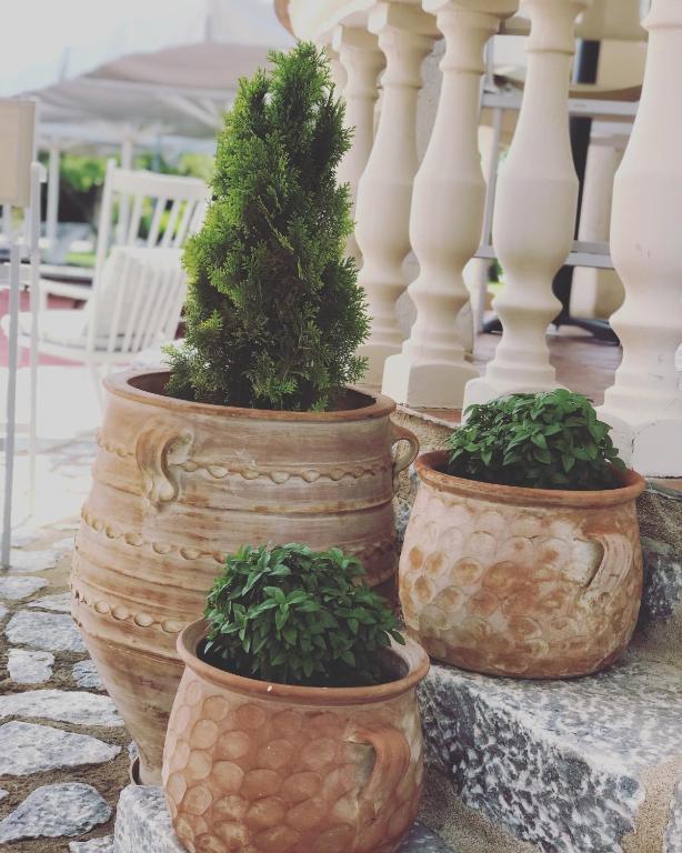 three large vases with plants in them on a porch at Aktaion Resort in Gythio