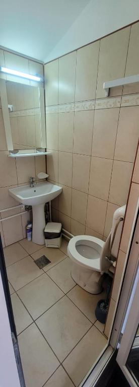 Koupelna v ubytování Casa Mihai