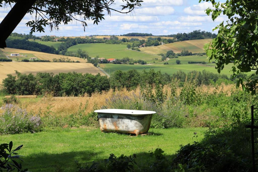 Příroda nedaleko bed and breakfast