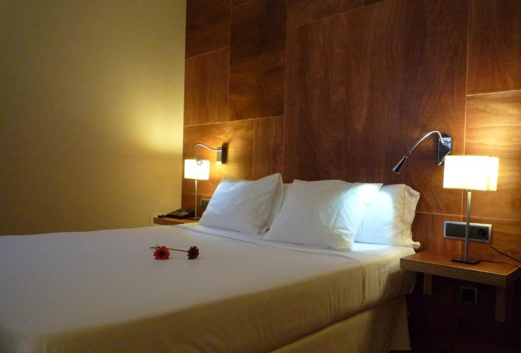 Hotel Picos de Europa - 