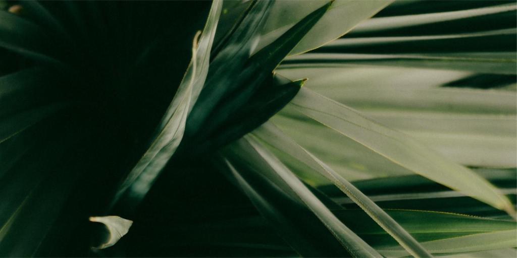 Ritsurin Boutique Hotel - ?????????????? ????? - Resim 24