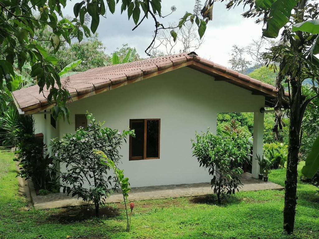 Zahrada ubytování La Ceiba Tree Lodge