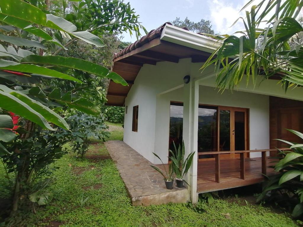 Zahrada ubytování La Ceiba Tree Lodge