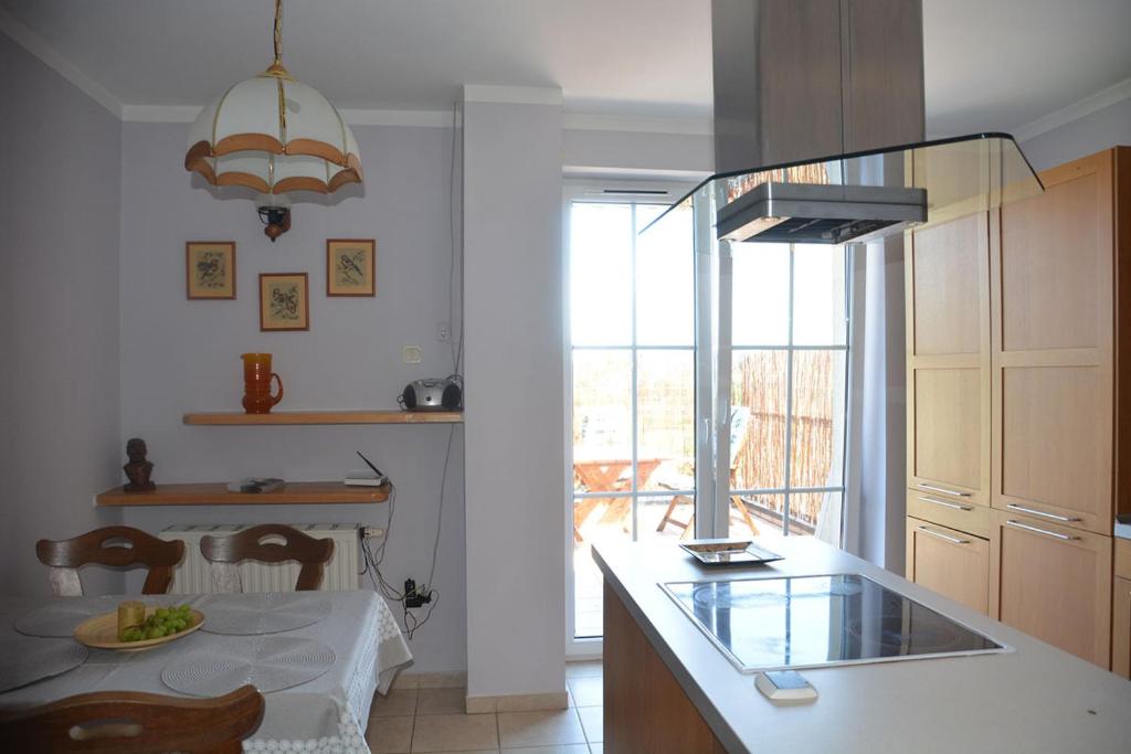 a kitchen with a table and a glass counter top at SOSNOWA 23 in Tenczynek