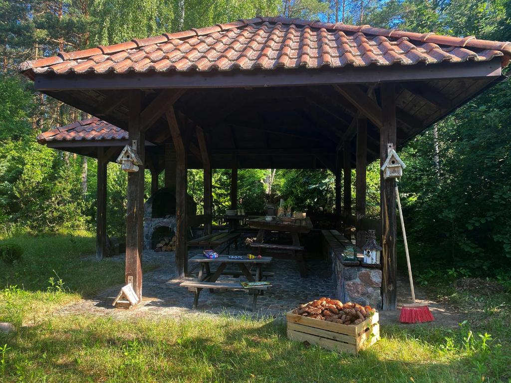 Ogród w obiekcie Szeroki Bór oaza w Puszczy z Sauną, Banią i Jacuzzi