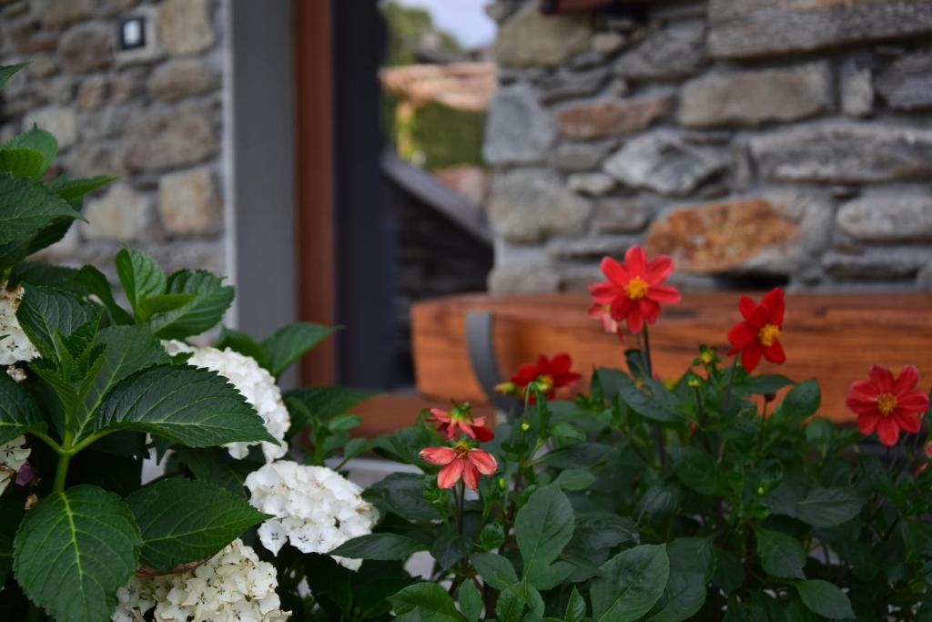 Ogród w obiekcie La Volta - Lake Como Heritage Home in Molino Maufet Watermill - Patio on the garden