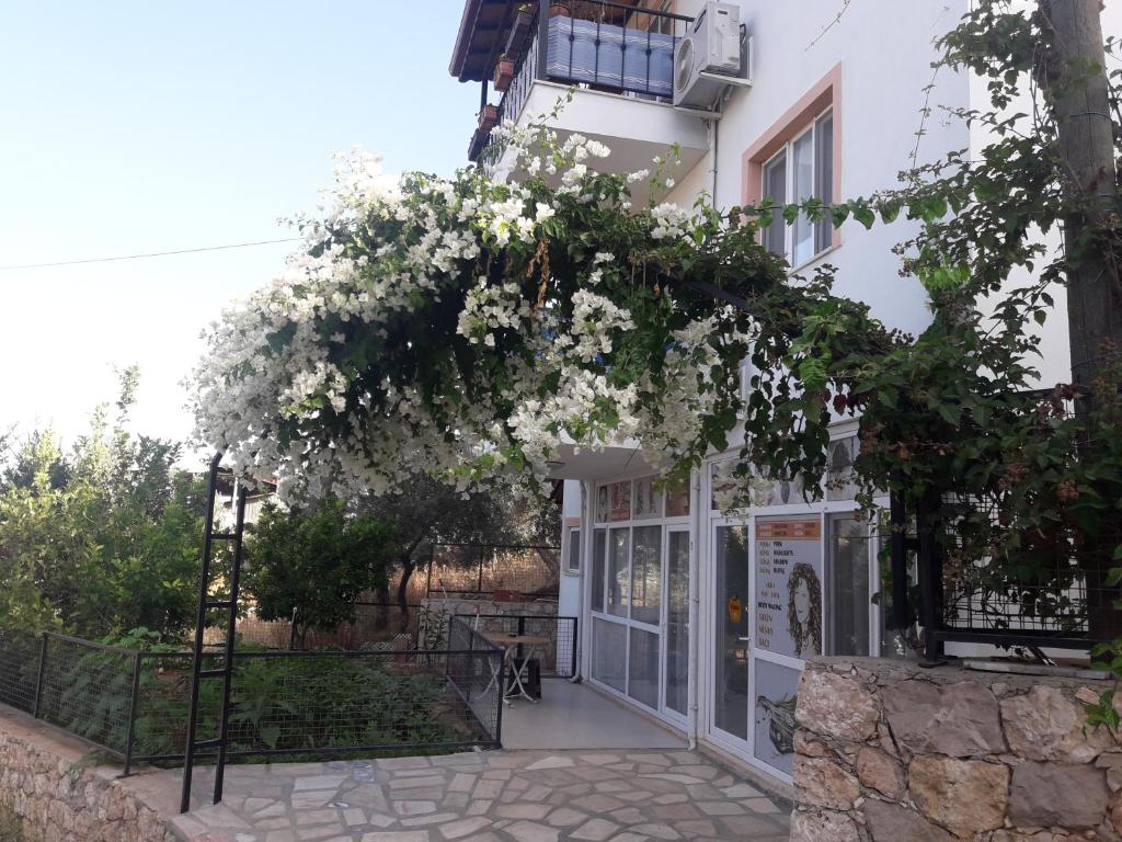 The building in which the holiday home is located