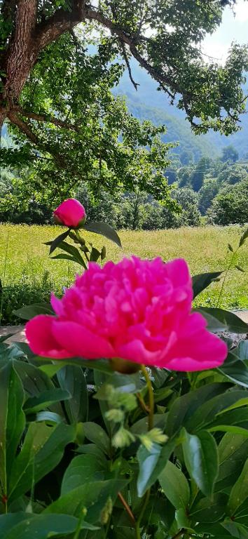 Etno selo ŽURIĆ - 19