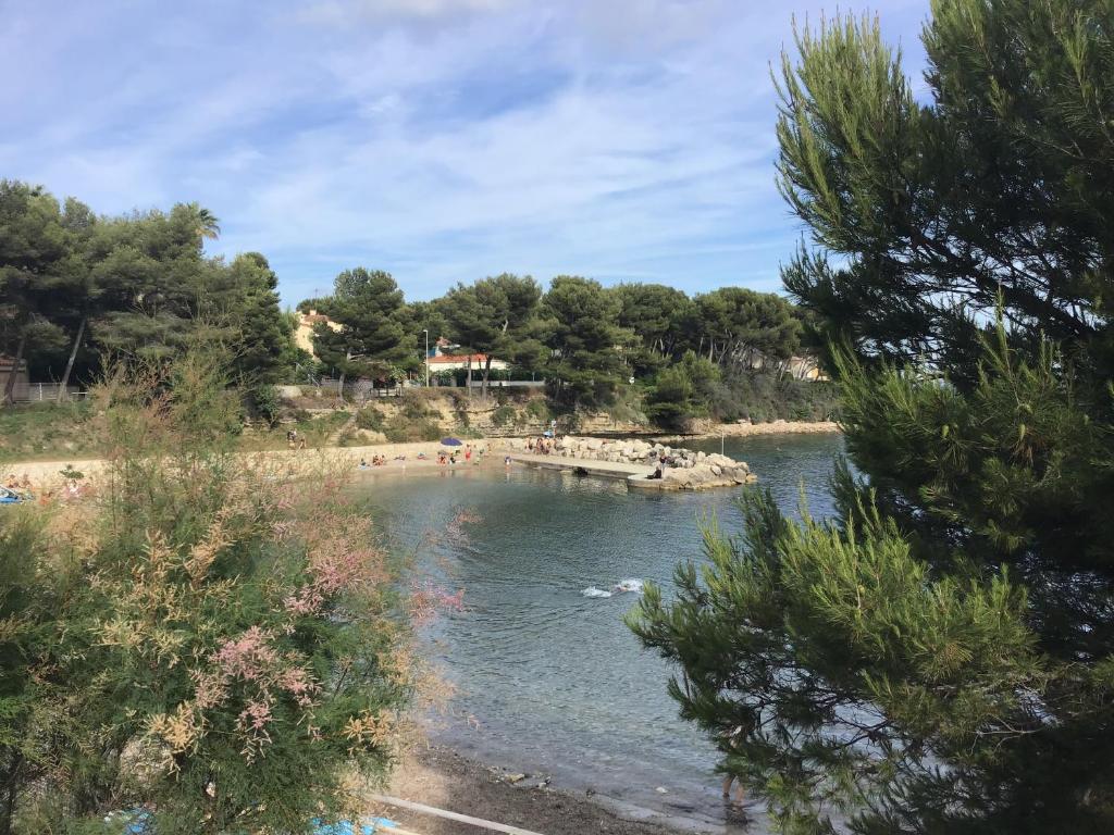 Un río con un grupo de personas nadando en él en Studio Plage du cap Rousset, en Carry-le-Rouet