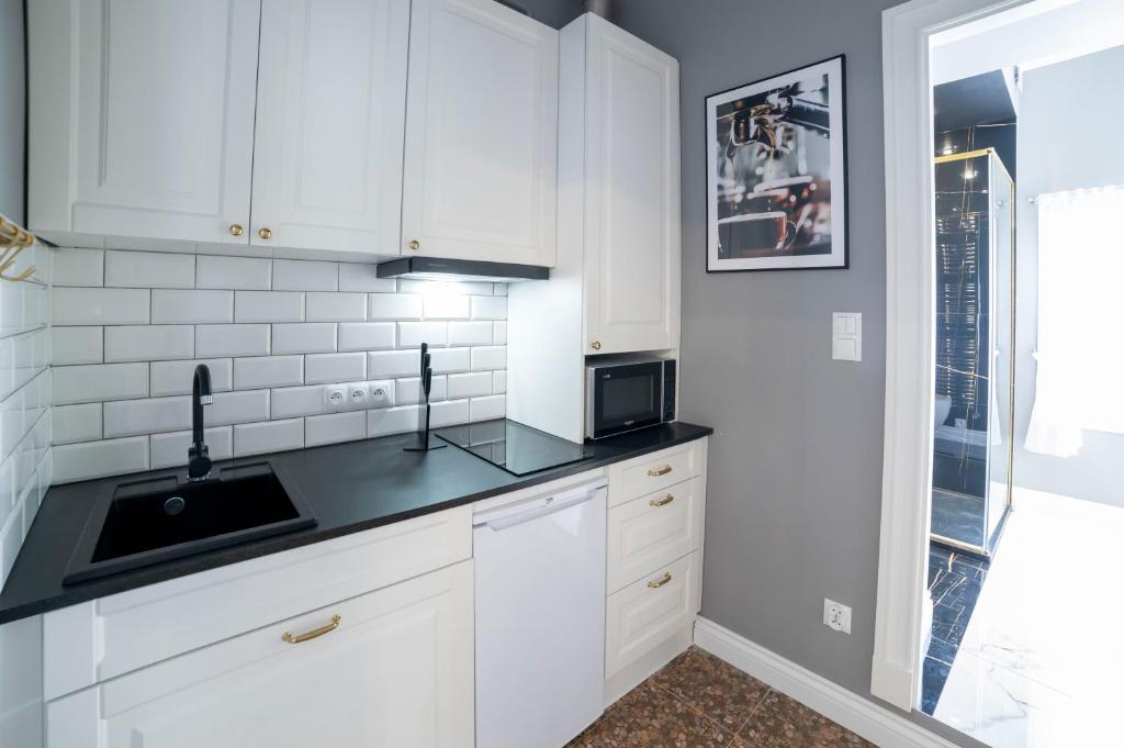 Kuchyňa alebo kuchynka v ubytovaní Sopot Haffnera Apartament