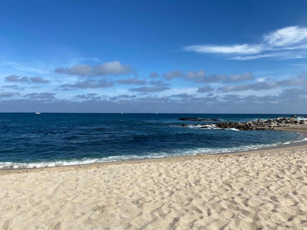 Spectacular Vacation Home Ocean View Walk to Beach - 两居室房屋