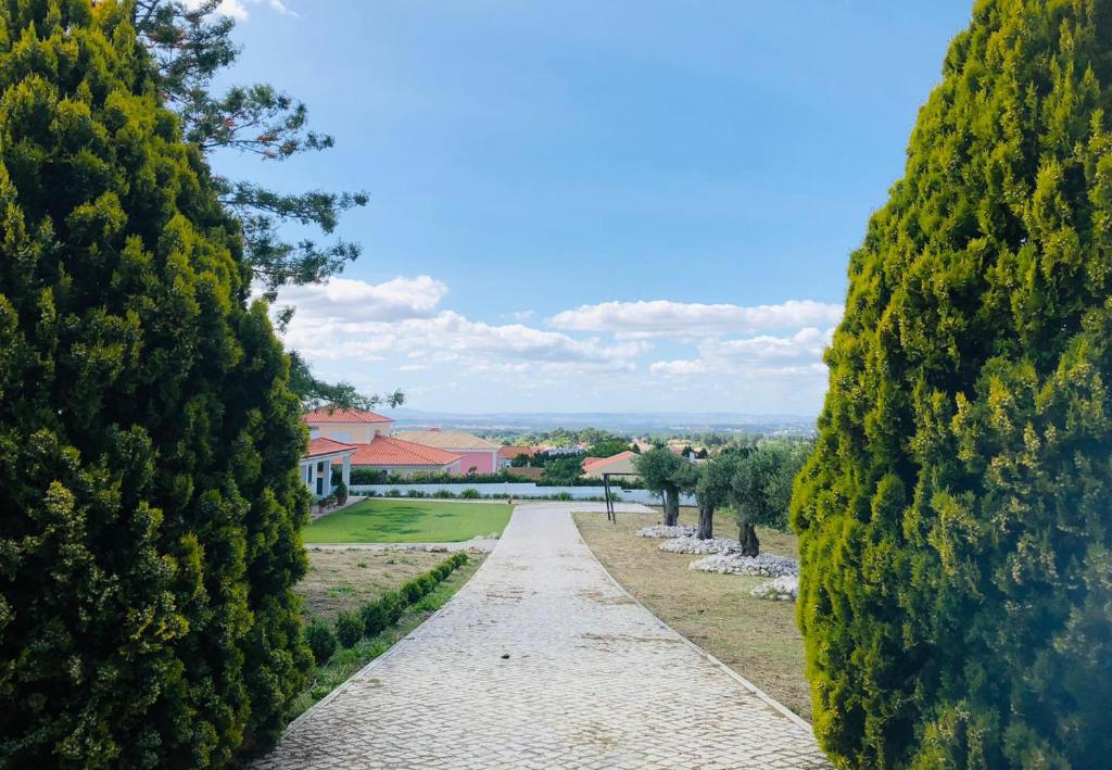 un chemin entre deux arbres dans un jardin dans l'établissement Quinta da Chapeleira em Azeitão, à Azeitão