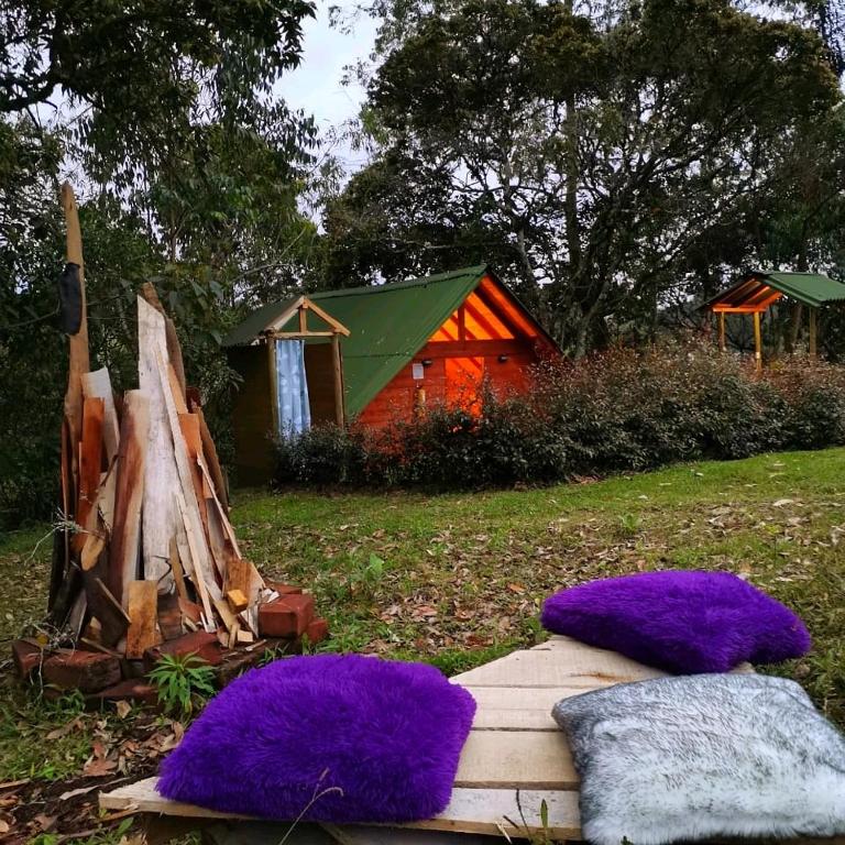 Zahrada ubytování Glamping Rionegro- arrayanes