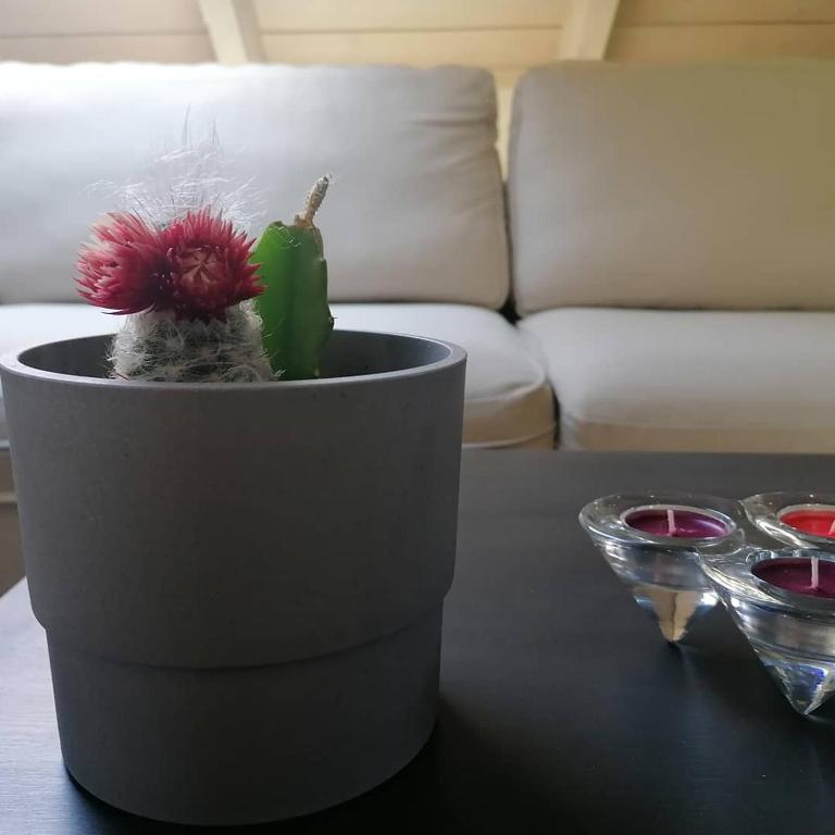 Posezení v ubytování Argostoli loft