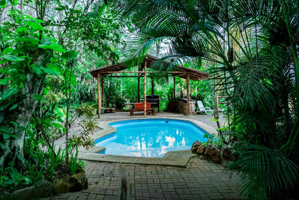 Bazén v ubytování Samai Lodge Holistic Living nebo v jeho okolí