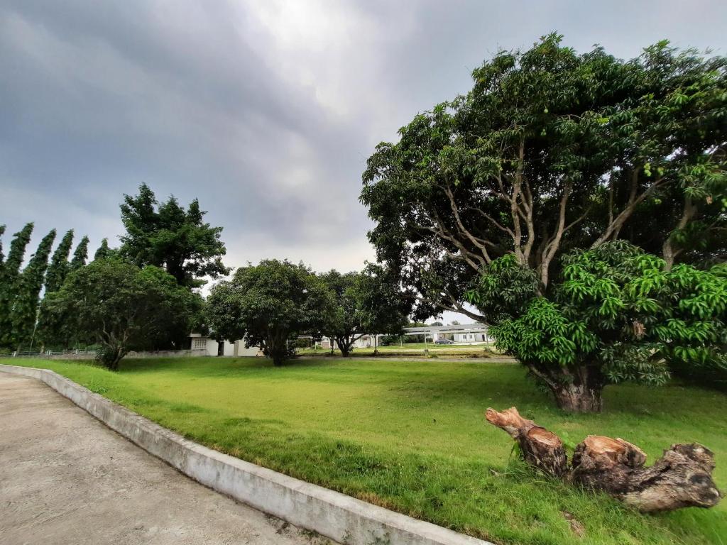Zahrada ubytování Estancia De Lorenzo Tarlac