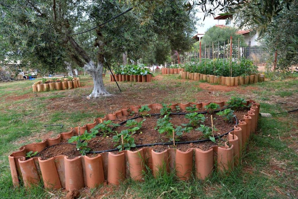 A garden outside Glamping at a Lovely Tent in Skiaxtro- Marathopoli