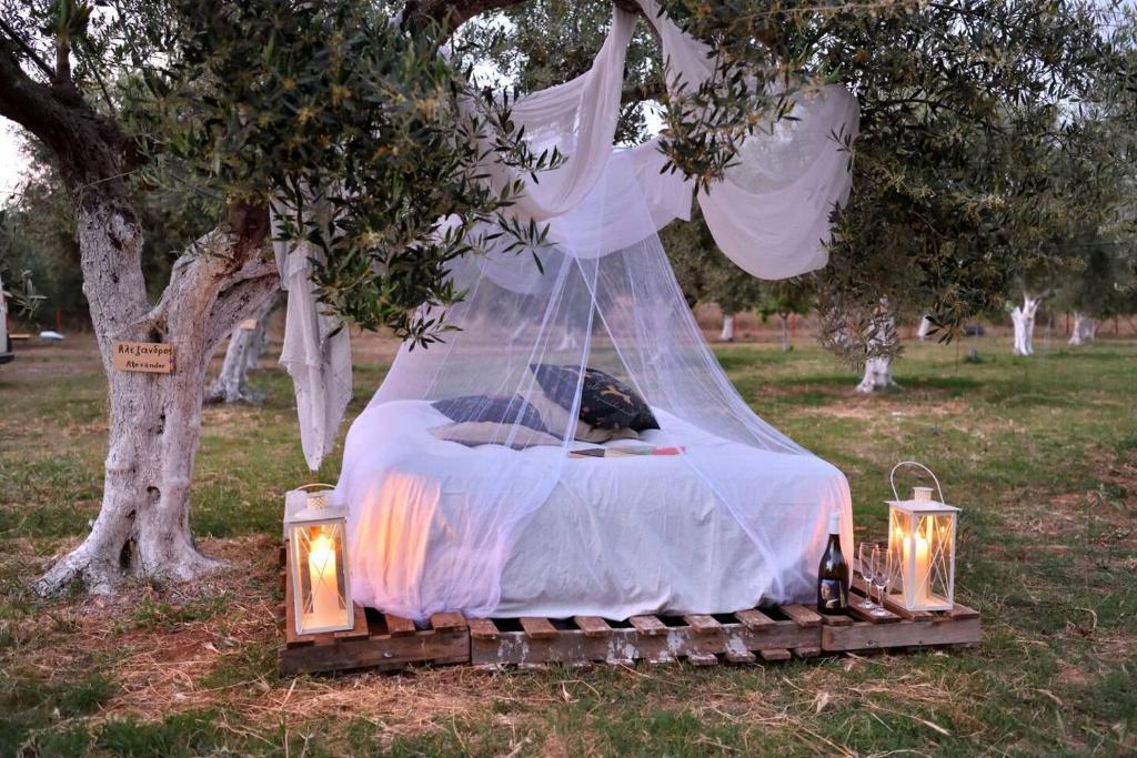 A garden outside Glamping at a Lovely Tent in Skiaxtro- Marathopoli